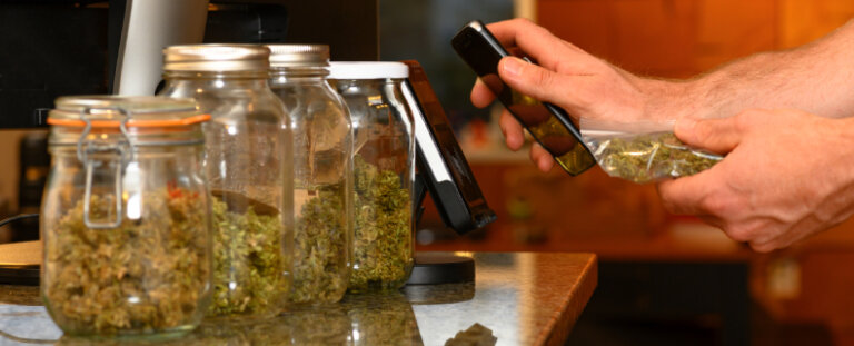 jars of marijuana on a countertop with someone using their cellphone to checkout
